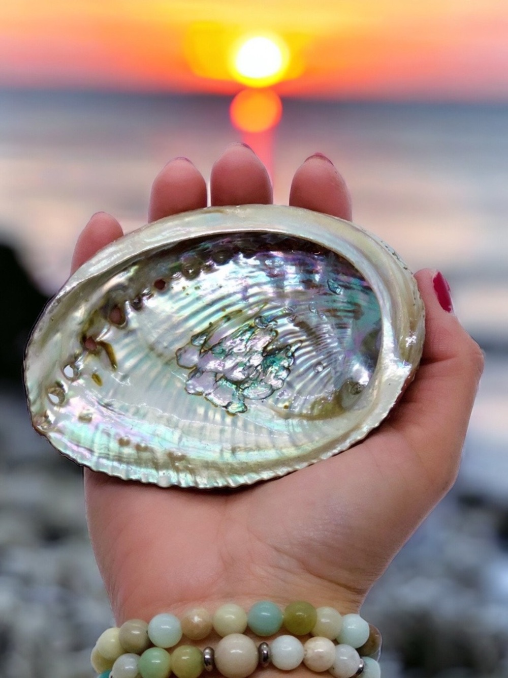 Abalone Shell Alter Tool One Side Polished Native American Smudge Tool